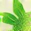 Icon symbolizing sustainability